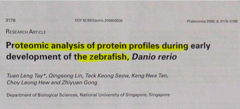 Analisi proteomica del profilo proteico durante l’iniziale sviluppo dello zebrafish (Danio rerio).